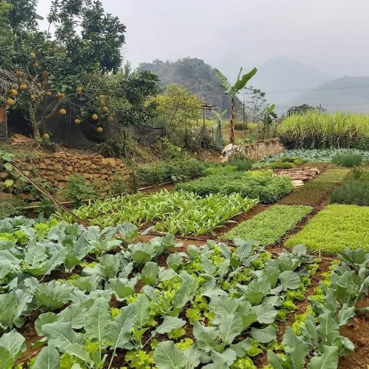 Hedge Farm: Your Partner in Agricultural Real Estate